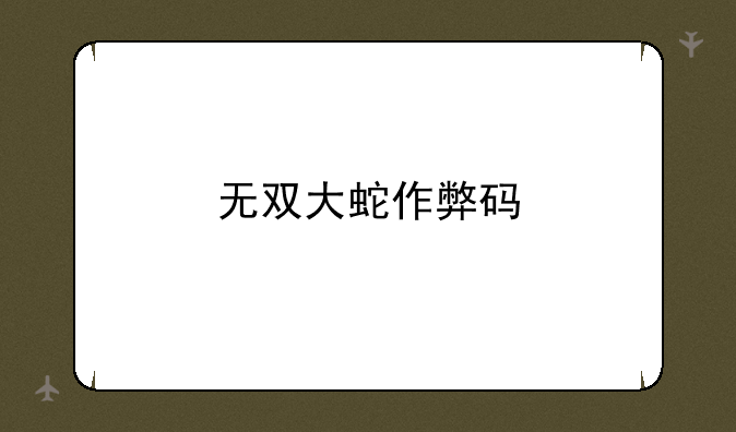 无双大蛇作弊码
