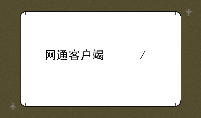网通客户端下载
