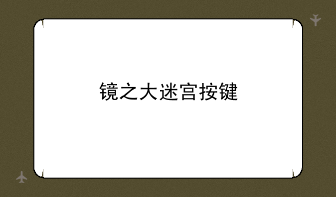 镜之大迷宫按键