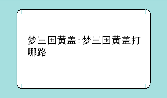 梦三国黄盖:梦三国黄盖打哪路